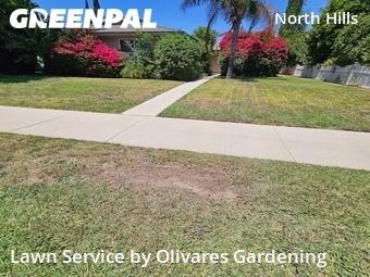 Lawn Maintenance nearby Los Angeles, CA, 