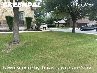Grass Cutin San Antonio,78253,Yard Cutting by Texas Lawn Care Serv, work completed in Jun , 2026