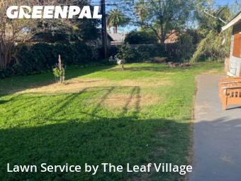 Landscaping Cleanup In San Bernardino,92405,Landscaping Renovation by The Leaf Village, work completed in Feb , 2026