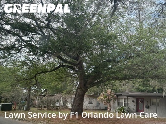 Lawn Mowing nearby Winter Park, FL, 