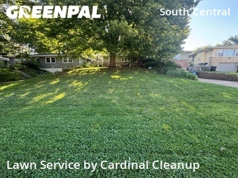 Lawn Cut nearby Omaha, NE, 