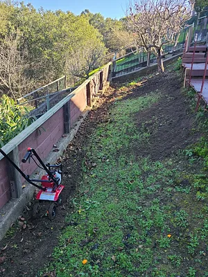 East Bay Lawnmower Photo 10