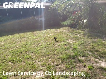 Grass Cut nearby Ocoee, FL, 