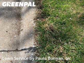 Yard Cutting nearby Papillion, NE, 