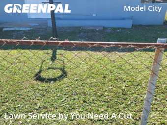 Lawn Mow nearby Miami, FL, 