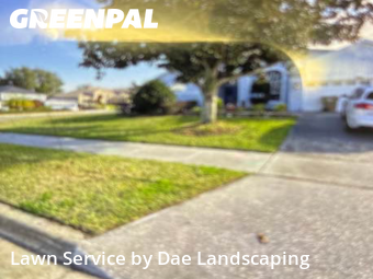 Lawn Servicein Clermont,34711,Yard Cutting by Dae Landscaping, work completed in Feb , 2026