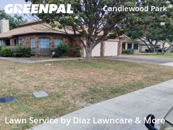 Lawn Cut nearby San Antonio, TX, 