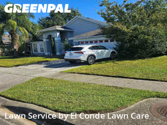 Yard Care Services in Buena Ventura Lakes, 34743, Lawn Management by El Conde Lawn Care, work completed in Nov , 2025