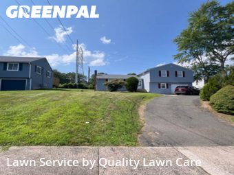 Grass Services in Bloomfield, 6002, Turf Services by Quality Lawn Care, work completed in Nov , 2025
