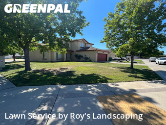 Lawn Mow nearby Stockton, CA, 