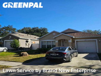 Grass Cutting nearby Valrico, FL, 