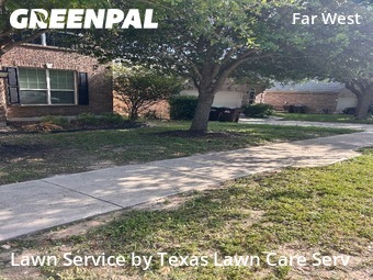 Lawn Cut nearby San Antonio, TX, 