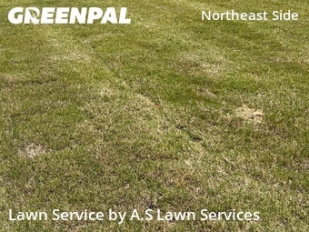 Lawn Cutting nearby Universal City, TX, 