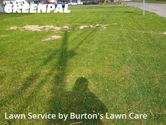 Lawn Maintenance nearby Youngstown, OH, 