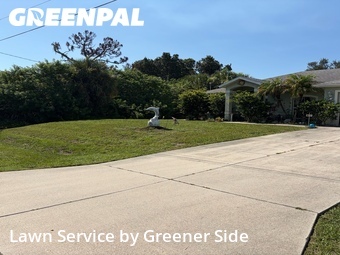 Yard Mowing nearby North Port, FL, 
