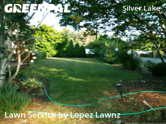 Lawn Mow nearby Everett, WA, 