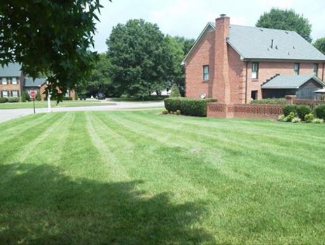 Lawn Mowing Contractor in Murfreesboro, TN, 37130