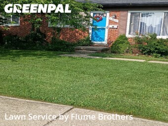Grass Cutting nearby Clinton Township, MI, 