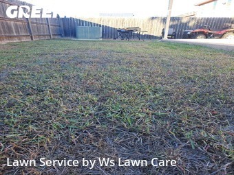 Grass Cuttingin Converse,78109,Lawn Cut by Ws Lawn Care, work completed in Feb , 2026