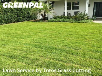 Grass Cut nearby Orlando, FL, 