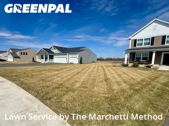 Grass Cutting nearby North Aurora, IL, 