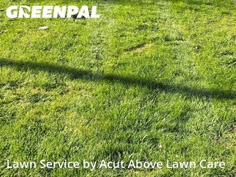 Lawn Mow nearby Pittsburgh, PA, 