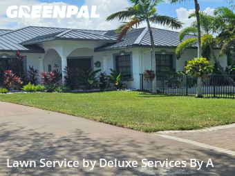 Grass Cutin Fort Lauderdale,33312,Yard Cutting by Deluxe Services By A, work completed in Nov , 2025