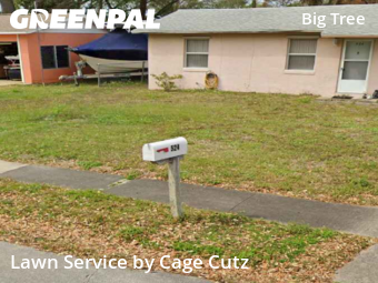 Lawn Mow nearby South Daytona, FL, 