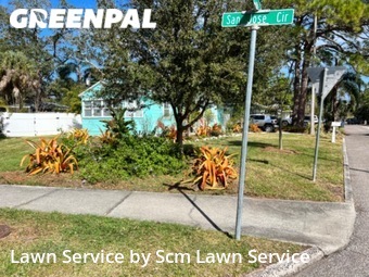 Lawn Mow nearby Dunedin, FL, 