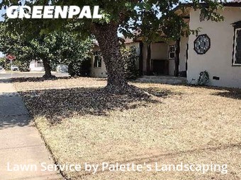 Grass Cutting nearby Marysville, CA, 