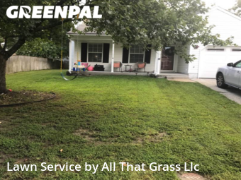 Lawn Cutting nearby Virginia Beach, VA, 