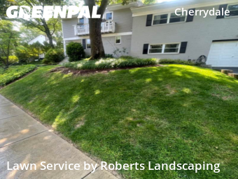 Lawn Care Service nearby Arlington, VA, 