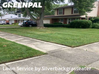 Lawn Mowing Service nearby Southfield, MI, 