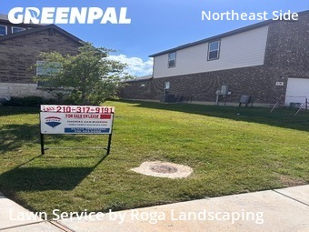 Lawn Cut nearby Schertz, TX, 