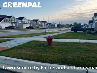 Yard Grooming in South Elgin, 60177, Backyard Mowing by Fatherandsonhandyman, work completed in Nov , 2025