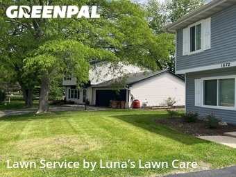 Grass Cuttingin Aurora,60504,Lawn Mow by Luna’s Lawn Care , work completed in Jun , 2026