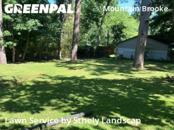 Lawn Mow nearby Decatur, GA, 