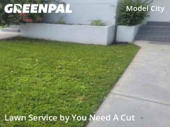 Grass Cut nearby Miami, FL, 