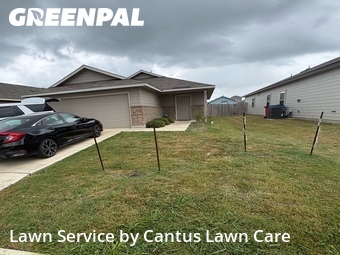 Landscapers In San Antonio,78252,Landscaping by Cantus Lawn Care, work completed in Jul , 2026