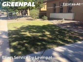 Backyard Landscaping In Gilbert,85297,Landscaping Services by Lawnpal, work completed in Jun , 2026