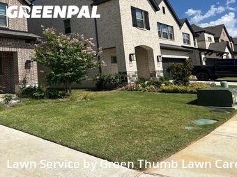 Grass Cut nearby Lewisville, TX, 