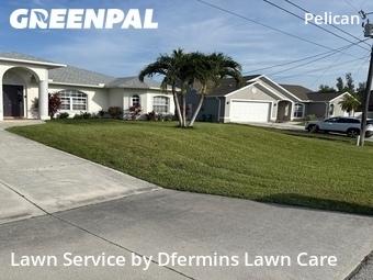 Lawn Cutting nearby Cape Coral, FL, 