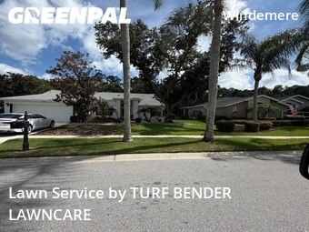 Lawn Mow nearby Palm Harbor, FL, 