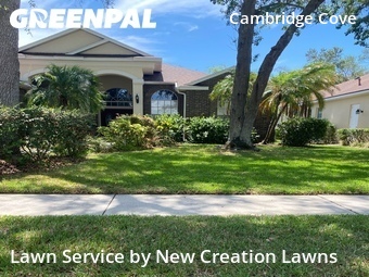 Yard Mowing nearby Valrico, FL, 