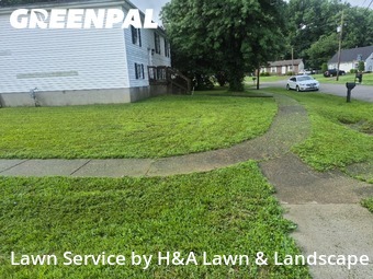 Lawn Cut nearby Louisville, KY, 