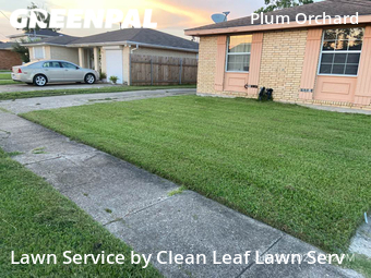 Grass Cutting nearby New Orleans, LA, 
