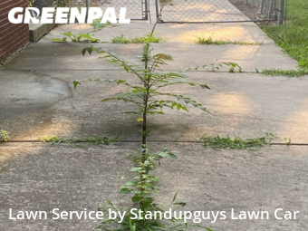 Lawn Service nearby Lincoln Park, MI, 