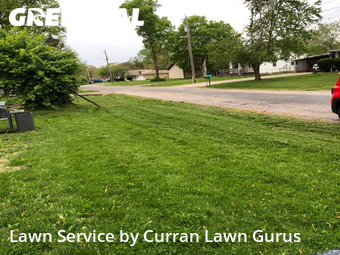 Lawn Care Service nearby Belleville, IL, 