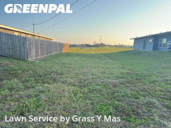Lawn Cut nearby Harlingen, TX, 