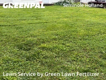 Lawn Mowing Service nearby Springfield, MO, 